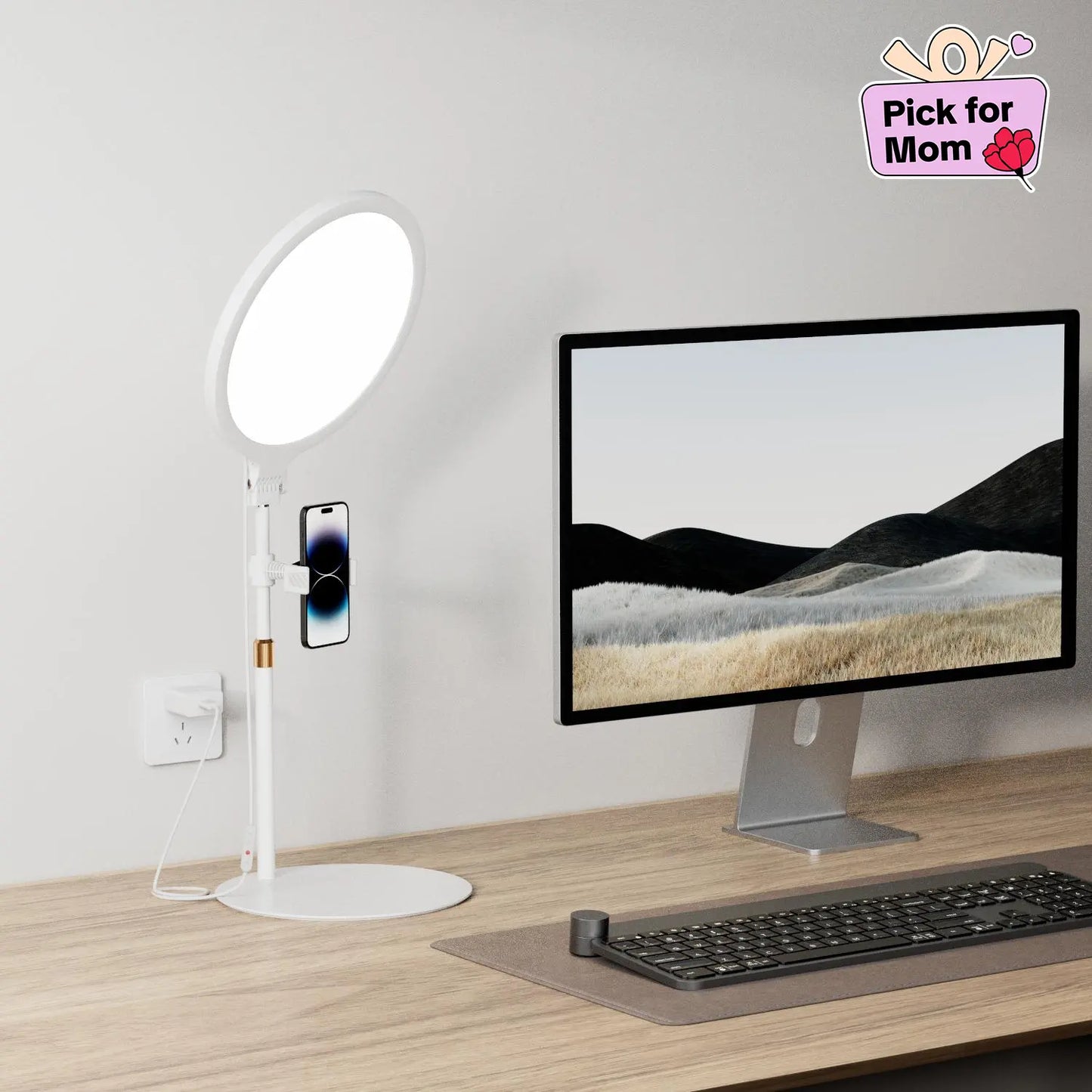 Weilisi 10.5'' Desktop Ring Light with Stand and Phone Holder - Adjustable Lighting Solution for Video Recording, Webinars, Live Streaming, and Home Office Use